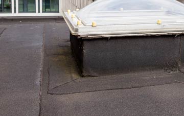 disadvantages of Pont Rhyd Y Berry flat roofs